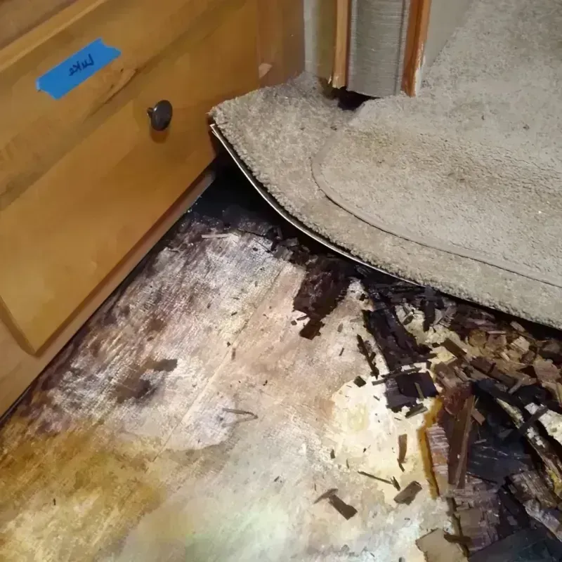 Wood Floor Water Damage in Canal Fulton, OH